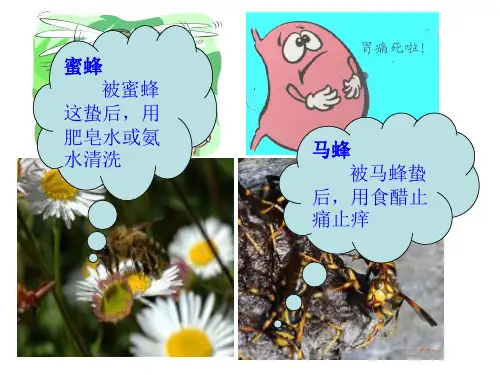 沪教版初三化学酸碱盐的化学性质专题复习优质课件ppt