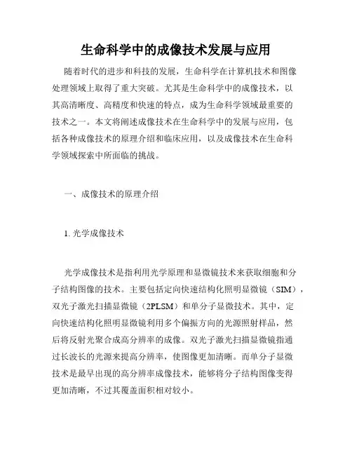 生命科学中的成像技术发展与应用