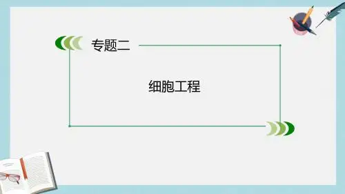 人教版高中生物选修3专题2 第1节《第2课时 植物细胞工程的实际应用》ppt课件
