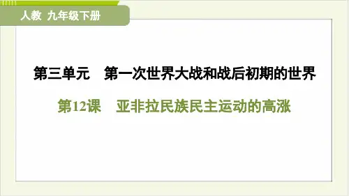 2025年人教版九年级下册历史第三单元第12课亚非拉民族民主运动的高涨