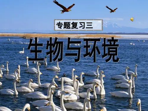 2023年中考一轮复习：专题三生物与环境复习课件(共26张ppt)