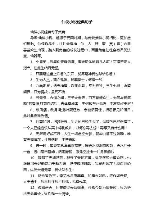 仙侠小说经典句子集锦