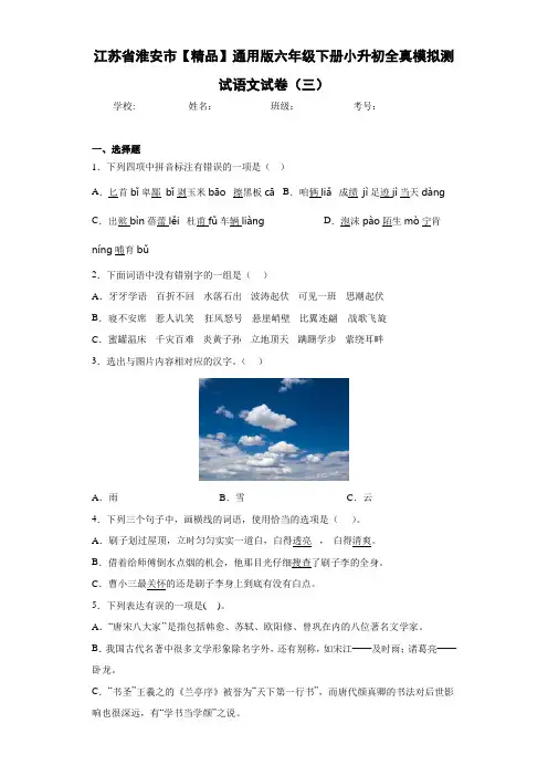 通用版六年级下册小升初全真模拟测试语文试卷(三)(含答案解析)