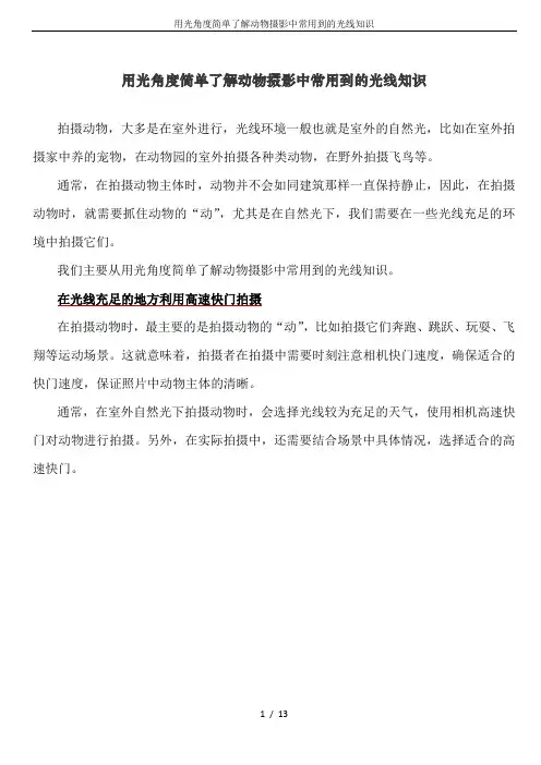 用光角度简单了解动物摄影中常用到的光线知识