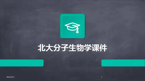 北大分子生物学课件-2024鲜版