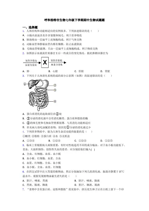 呼和浩特市生物七年级下学期期中生物试题题