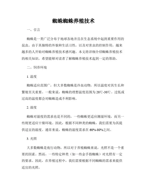 蜘蛛蜘蛛养殖技术