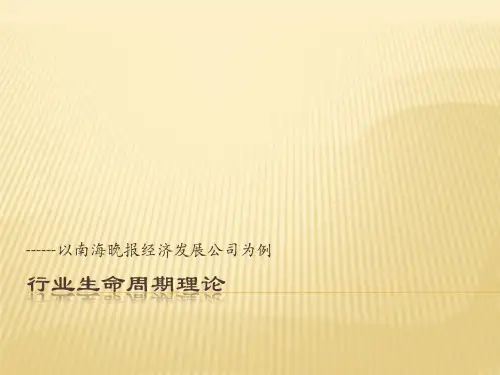 行业生命周期案例分析