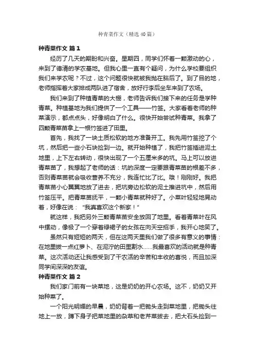 种青菜作文（精选40篇）