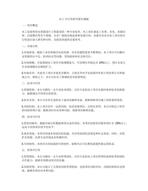 水工 可行性研究报告模板