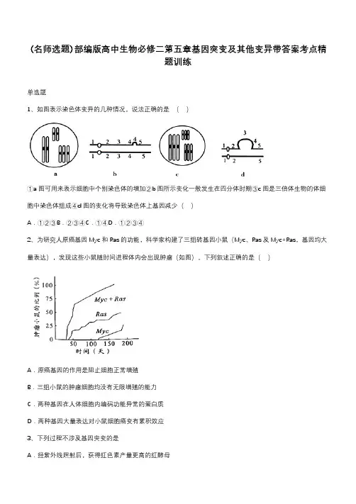 部编版高中生物必修二第五章基因突变及其他变异带答案考点精题训练
