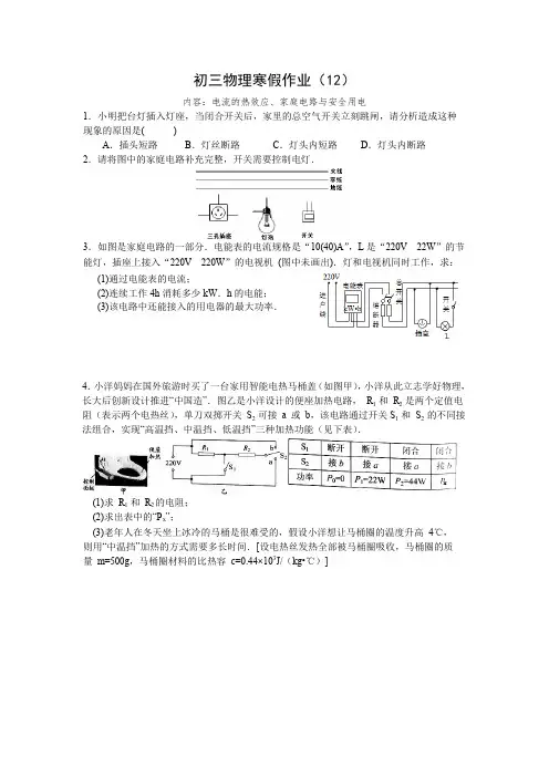 初三物理寒假作业(12)