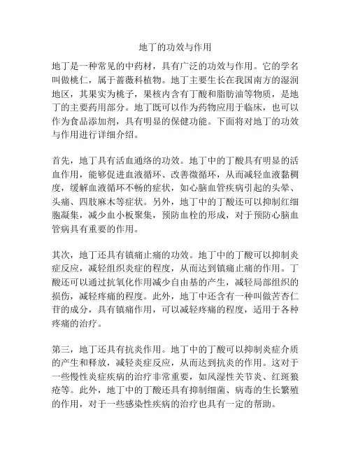 地丁的功效与作用