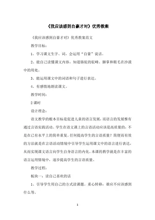 《我应该感到自豪才对》优秀教案