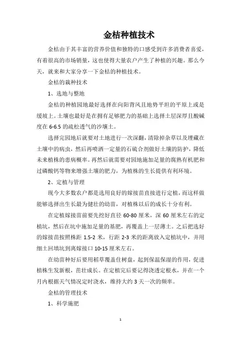 金桔种植技术