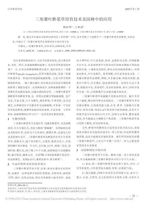 三角紫叶酢浆草培育技术及园林中的应用