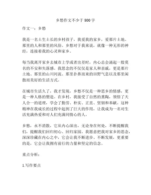 乡愁作文不少于800字