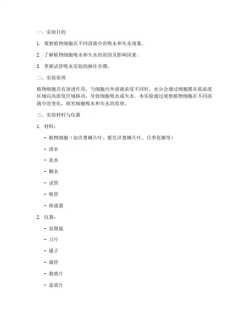 试管吸水实验报告
