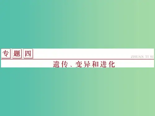 高考生物二轮复习 第一部分 专题四 遗传、变异和进化 命题源7 遗传的分子基础