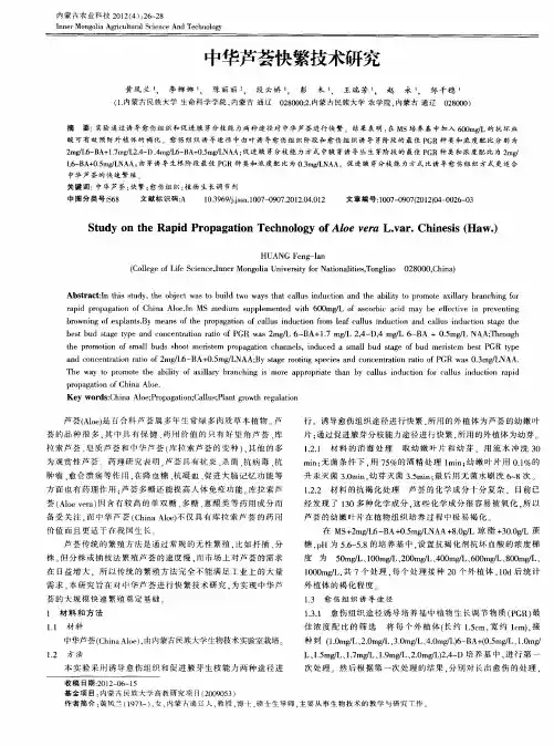 中华芦荟快繁技术研究