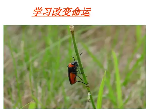 第一课2节学习改变命运