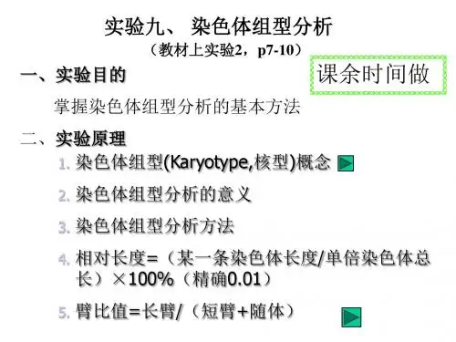实验九、 染色体组型分析
