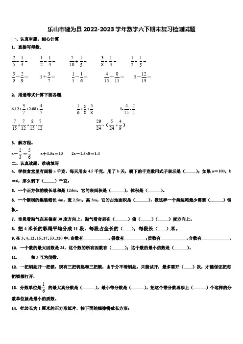 乐山市犍为县2022-2023学年数学六下期末复习检测试题含解析