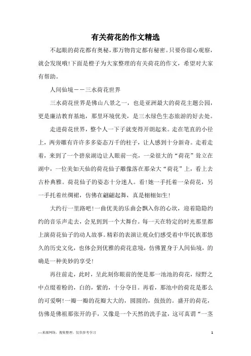 有关荷花的作文精选