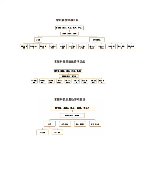 精益生产项目小组架构图