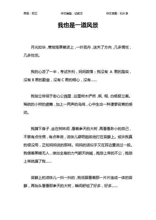 我也是一道风景作文【初中初三600字】