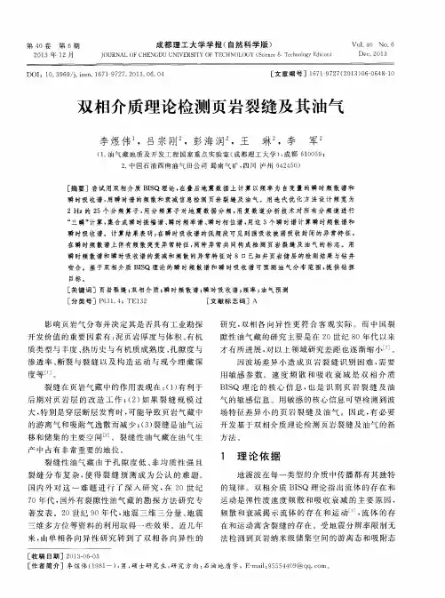 双相介质理论检测页岩裂缝及其油气