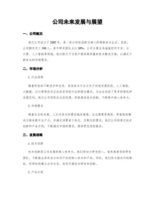 公司未来发展与展望