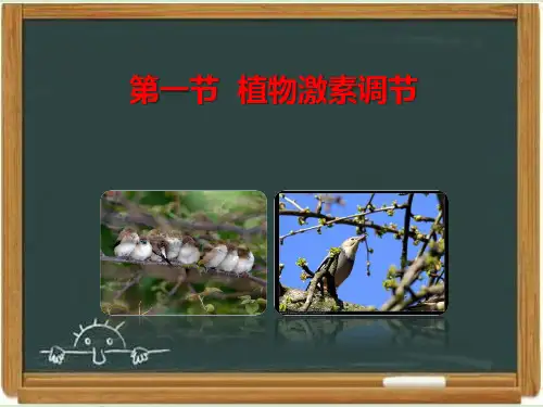 浙科版高中生物必修三《植物激素调节》课件-新版