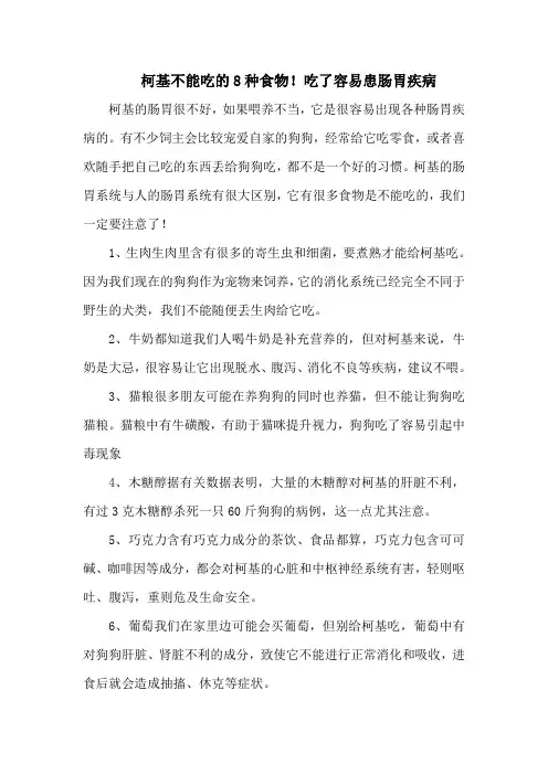 柯基不能吃的8种食物!吃了容易患肠胃疾病