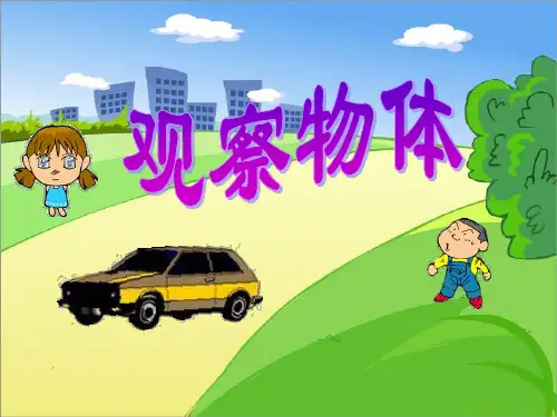 二年级上册数学课件-7.2 观察物体丨苏教版 (共13张PPT)