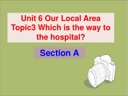 仁爱版七下英语Unit 6 Topic 3 SectionA 课件