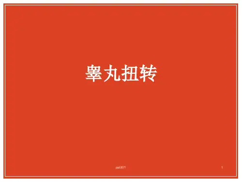 睾丸扭转  ppt课件