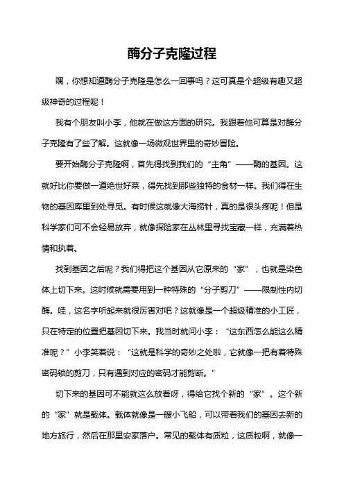 酶分子克隆过程