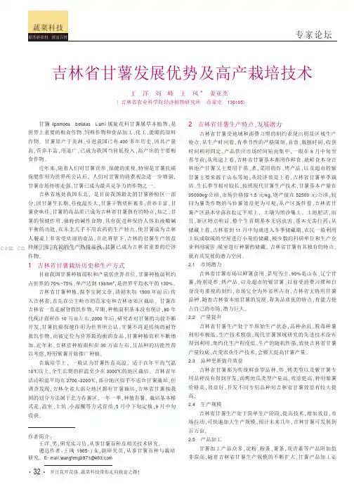 吉林省甘薯发展优势及高产栽培技术
