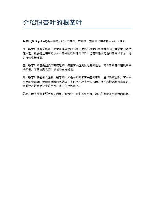 介绍银杏叶的根茎叶