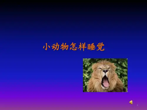 小动物怎样睡觉ppt课件