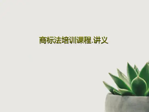商标法培训课程.讲义77页PPT