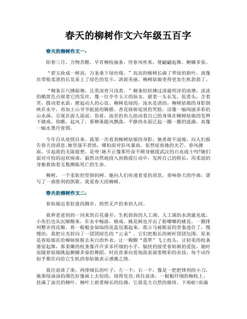 春天的柳树作文六年级五百字