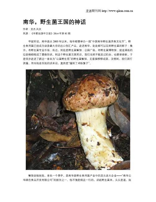 南华,野生菌王国的神话