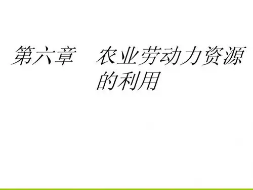 第六章 农业劳动力资源的利用