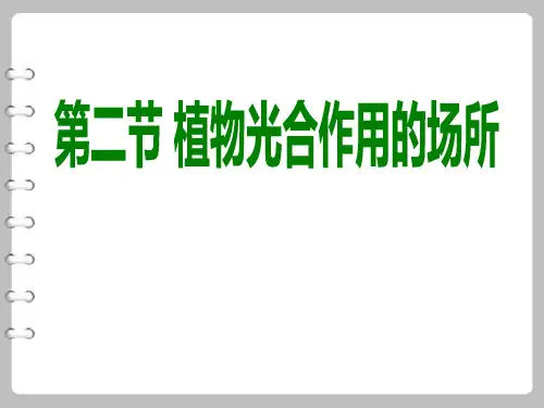 《植物光合作用的场所》PPT课件[优秀课件资料]