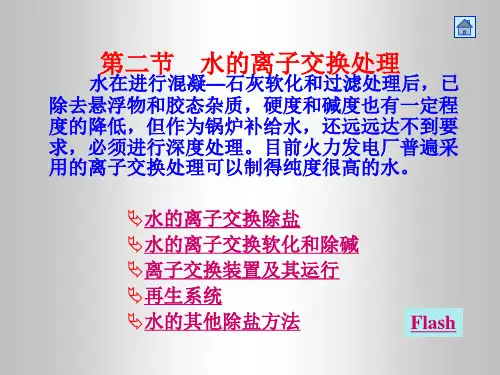 水的离子交换处理解析