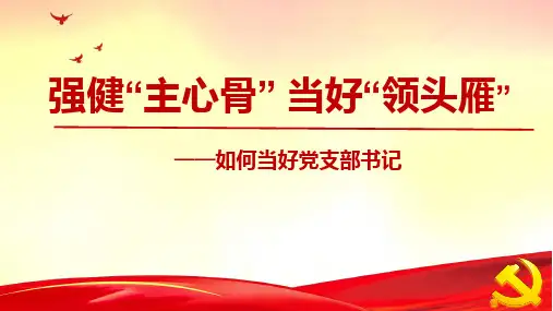 强健“主心骨” 当好“领头雁”——切实发挥好党支部书记作用