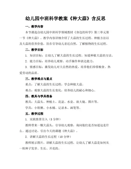 幼儿园中班科学教案《种大蒜》含反思