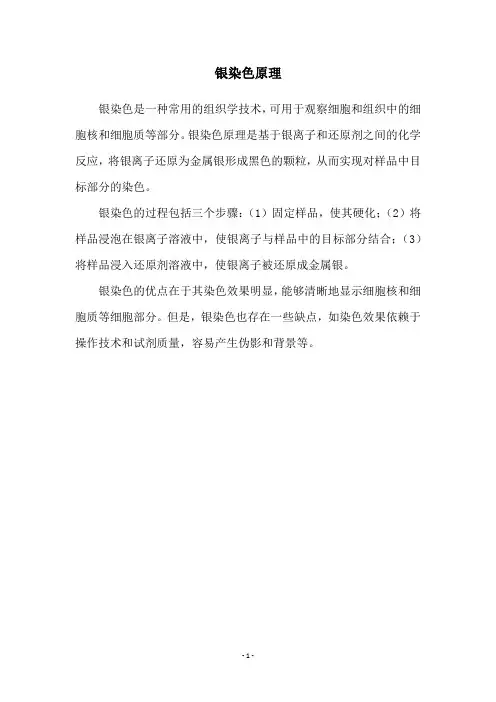 银染色原理